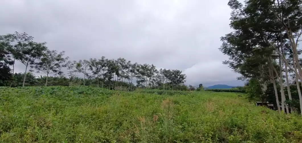 Amazing view! 16 Hectares Land for Sale - photo 3