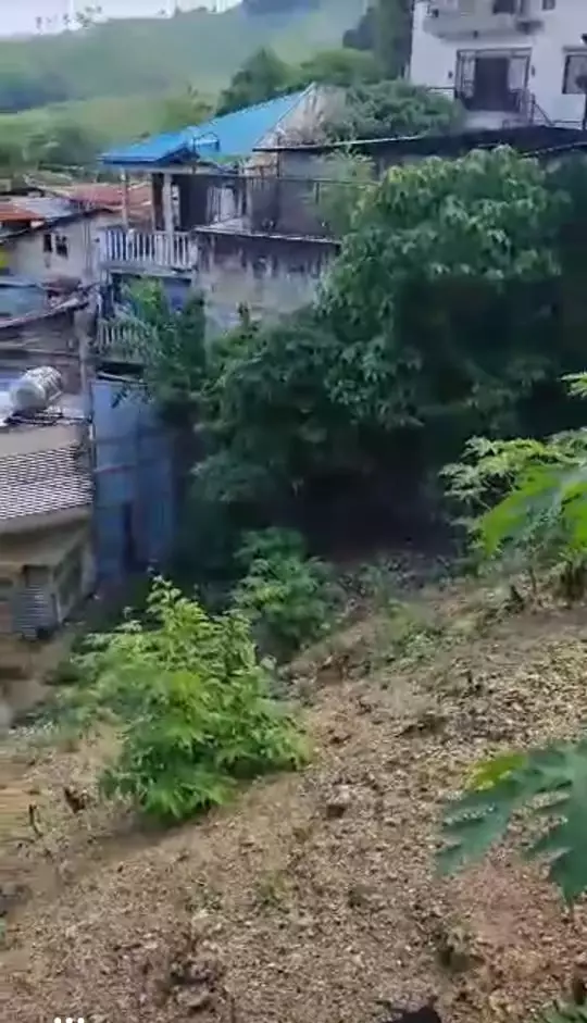 Residential Lot for Sale in SunnyHills Subdivision, Talamban Cebu - photo 4