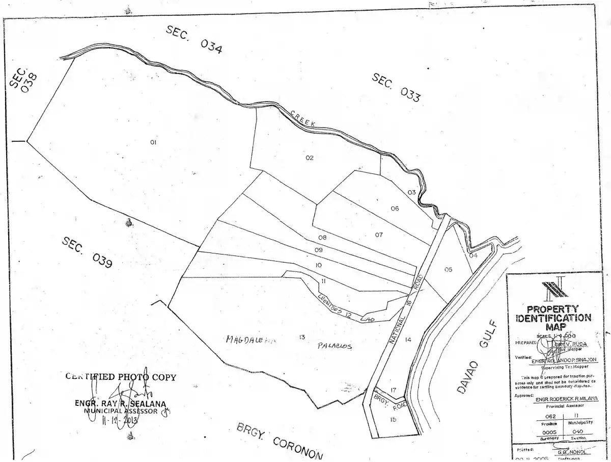 Commercial Lot along the National Highway of Sta. Cruz, Davao del Sur - photo 4