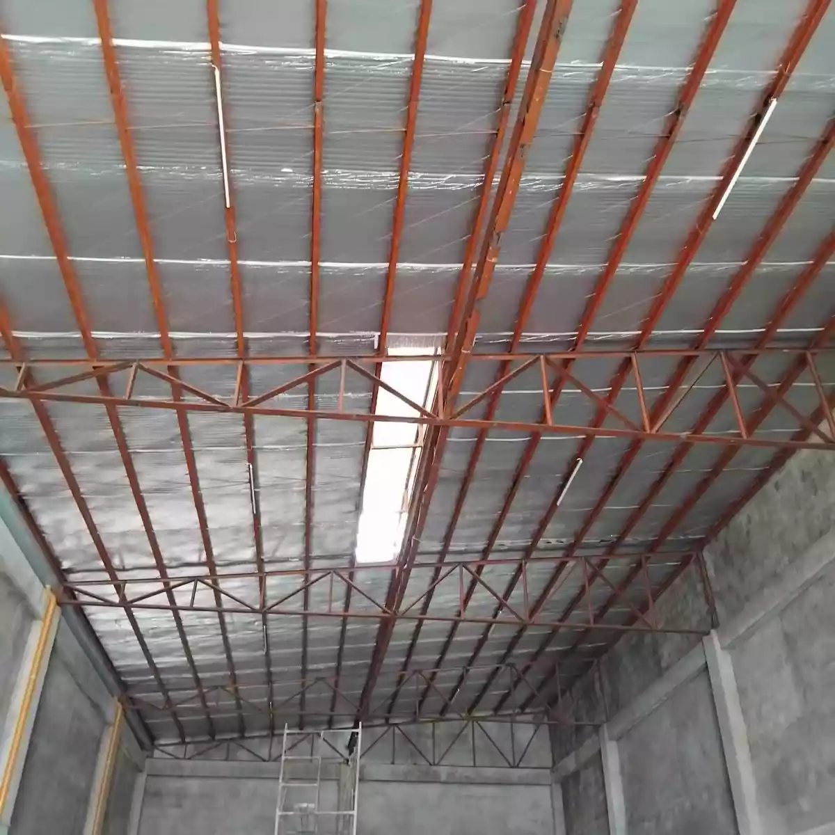 Warehouse for Rent in Mandaue - photo 4