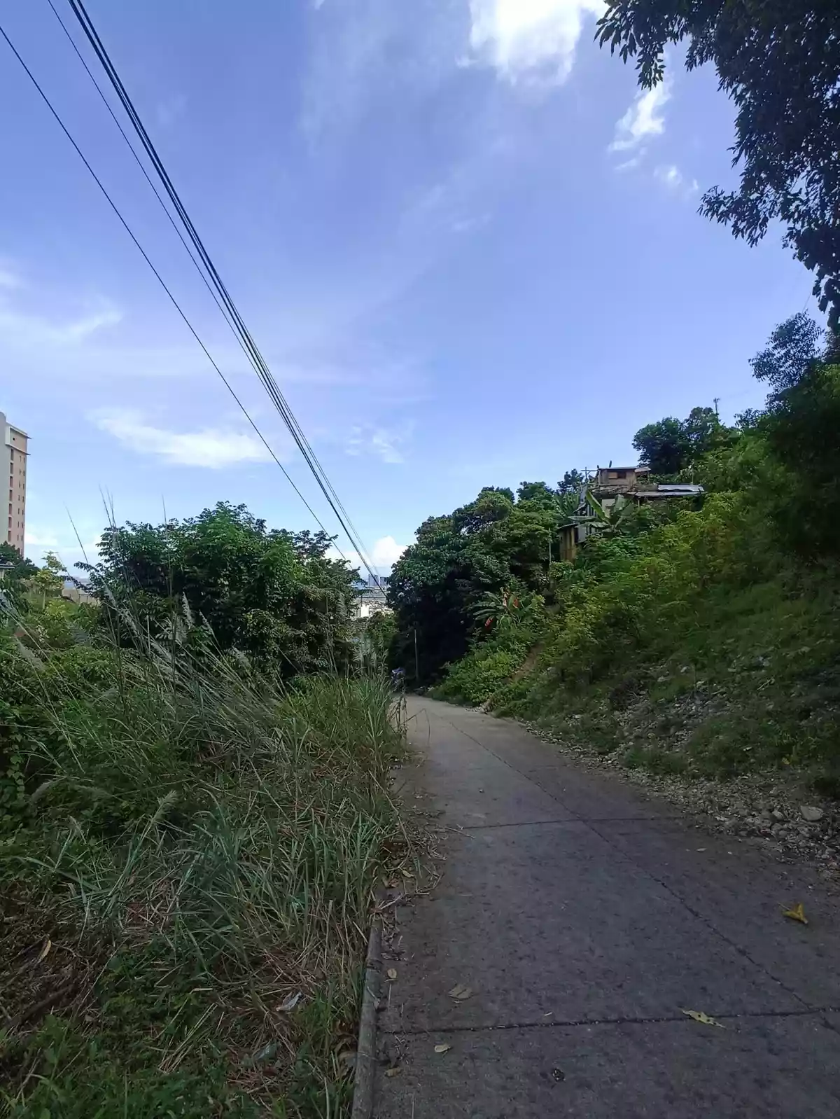 Overlooking city View 800 SQM. Lot for sale in San Carlos Heights Pardo — Residential Lot in Cebu City, Cebu, Philippines — Photo 2