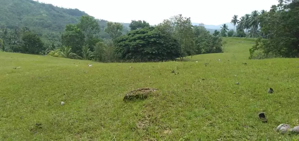 Titled lot — Agricultural Lot in Cebu, Philippines — Photo 6