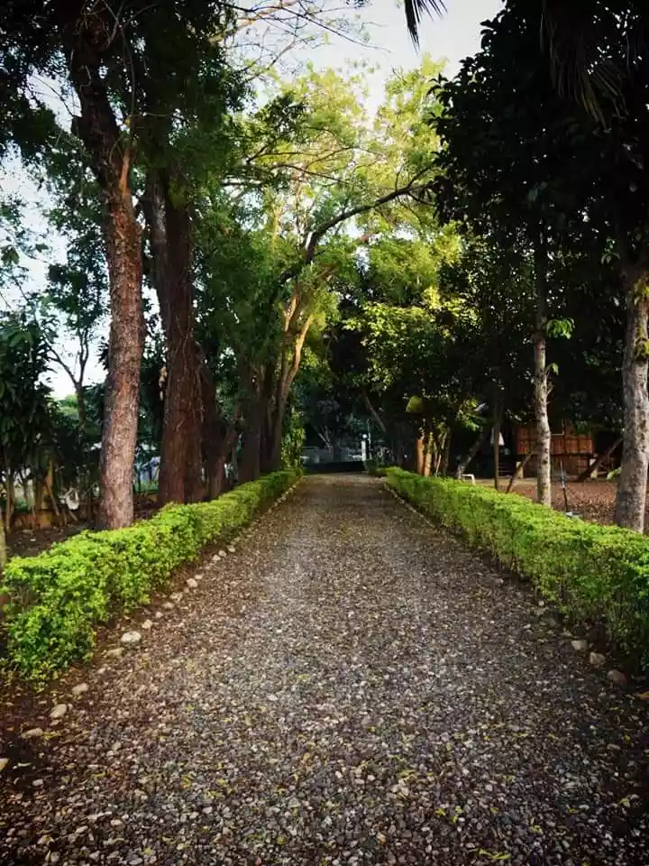 Silot Bay  Villa  - photo 6