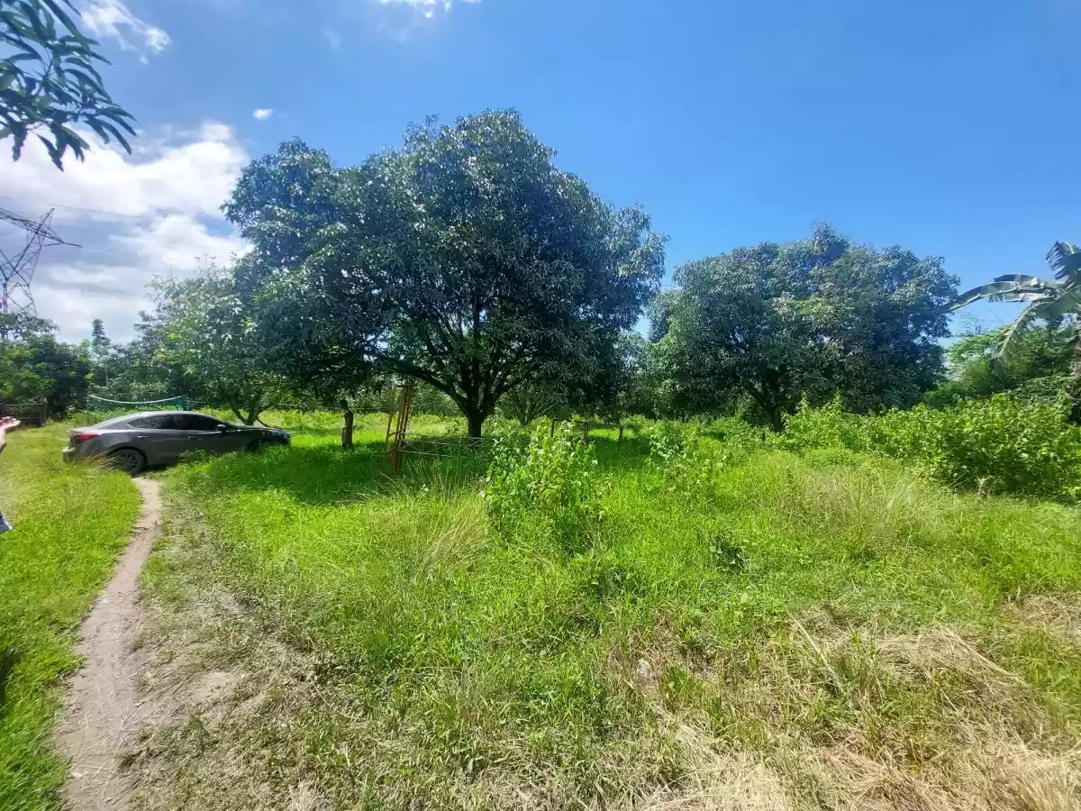 RJS LOT PROPERTY FOR SALE  - photo 3