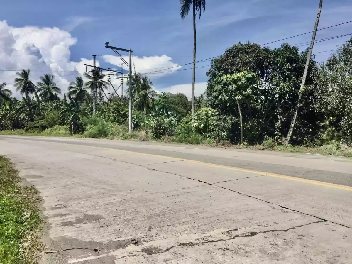 Industrial lot for sale in Bunawan area — Industrial Lot in Bunawan, Davao City, Davao del Sur — Photo 3