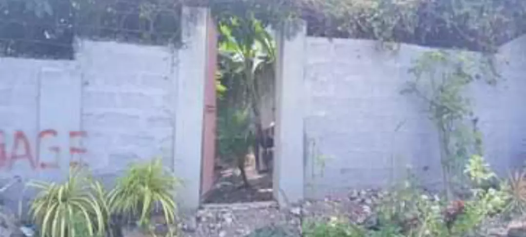Residential Lot for Sale — Residential Lot in Cebu City, Cebu, Philippines — Photo 3