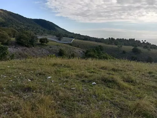 LOT for sale in Oslob — Residential Lot in Natalio Bacalso Avenue, Oslob, Cebu — Photo 3