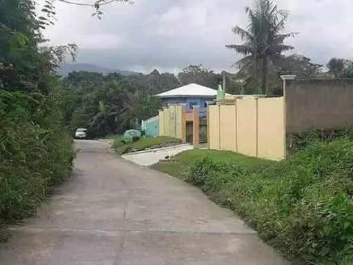Affordable Lot for Sale in Lamac Consolacion — Residential Lot in Consolacion, Cebu, Philippines — Photo 5