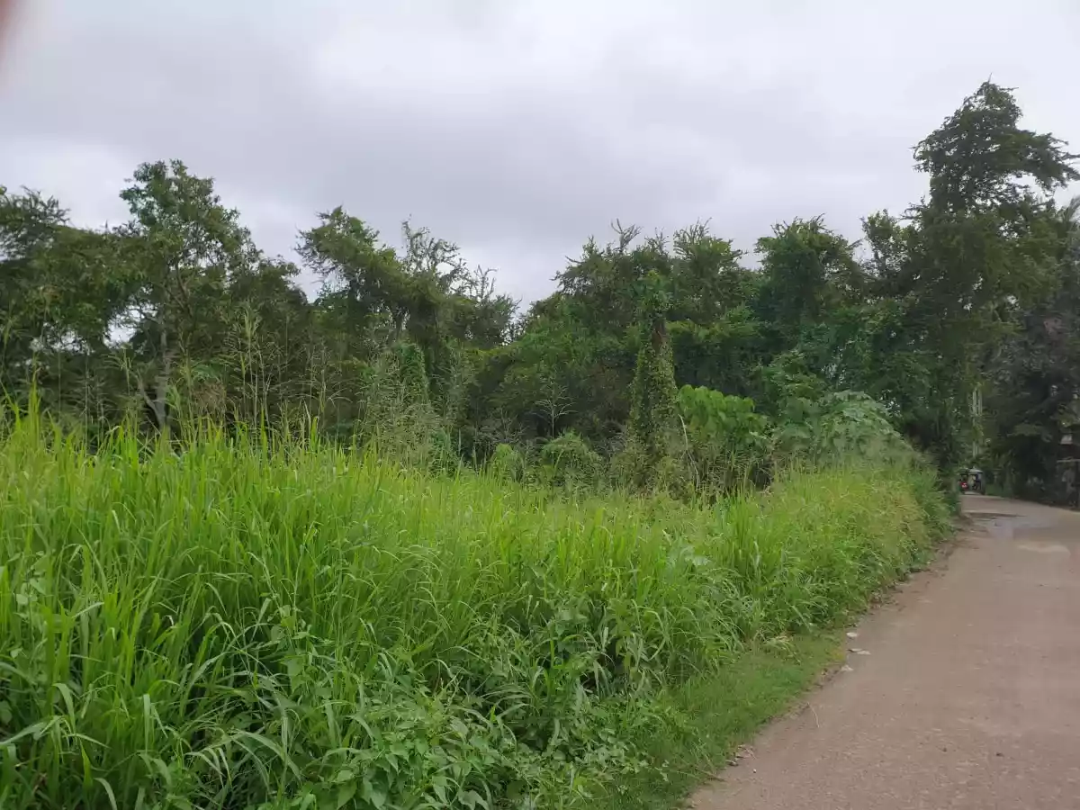 RESIDENTIAL LOT FOR SALEâ€¼ï¸ Lumiyap road, Divisoria,Zamboanga City — Residential Lot in Zamboanga del Sur, Philippines — Photo 3