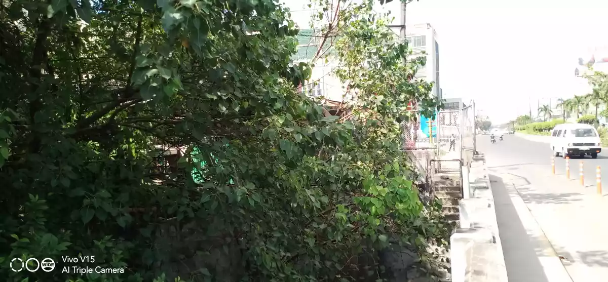 Commercial/Prime Lot For Sale in Tipolo, Mandaue City - photo 5