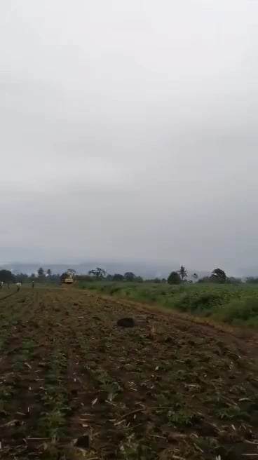 For sale Titled lot in Bukidnon — Agricultural Lot in Manolo Fortich, Bukidnon, Philippines — Photo 5