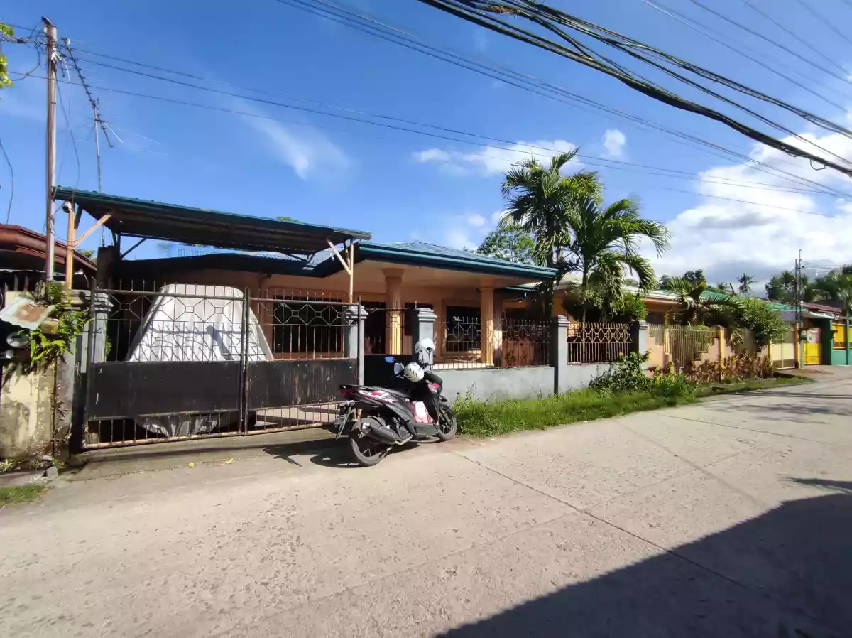 House and lot in Katrina Homes Subdvision, Batinguel, Dumaguete City
