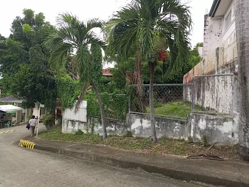 Corner Residential Lot for Sale in El Monteverde Subdivision — Residential Lot in New Orleans Street, Lamac, Consolacion — Photo 2