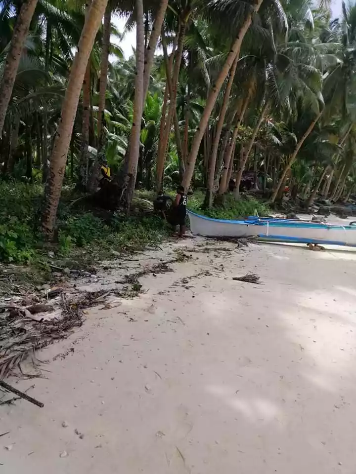 ISLAND FOR SALE IN SIARGAO ISLANDS - photo 7