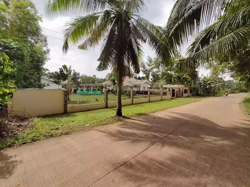 5 Bedrooms 5 toilet and bath with Swimming pool in Dao Dauis Panglao Island Bohol - photo 5