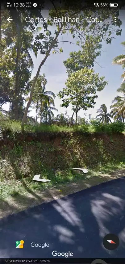 Lot for sale in Tubigon Bohol - photo 2