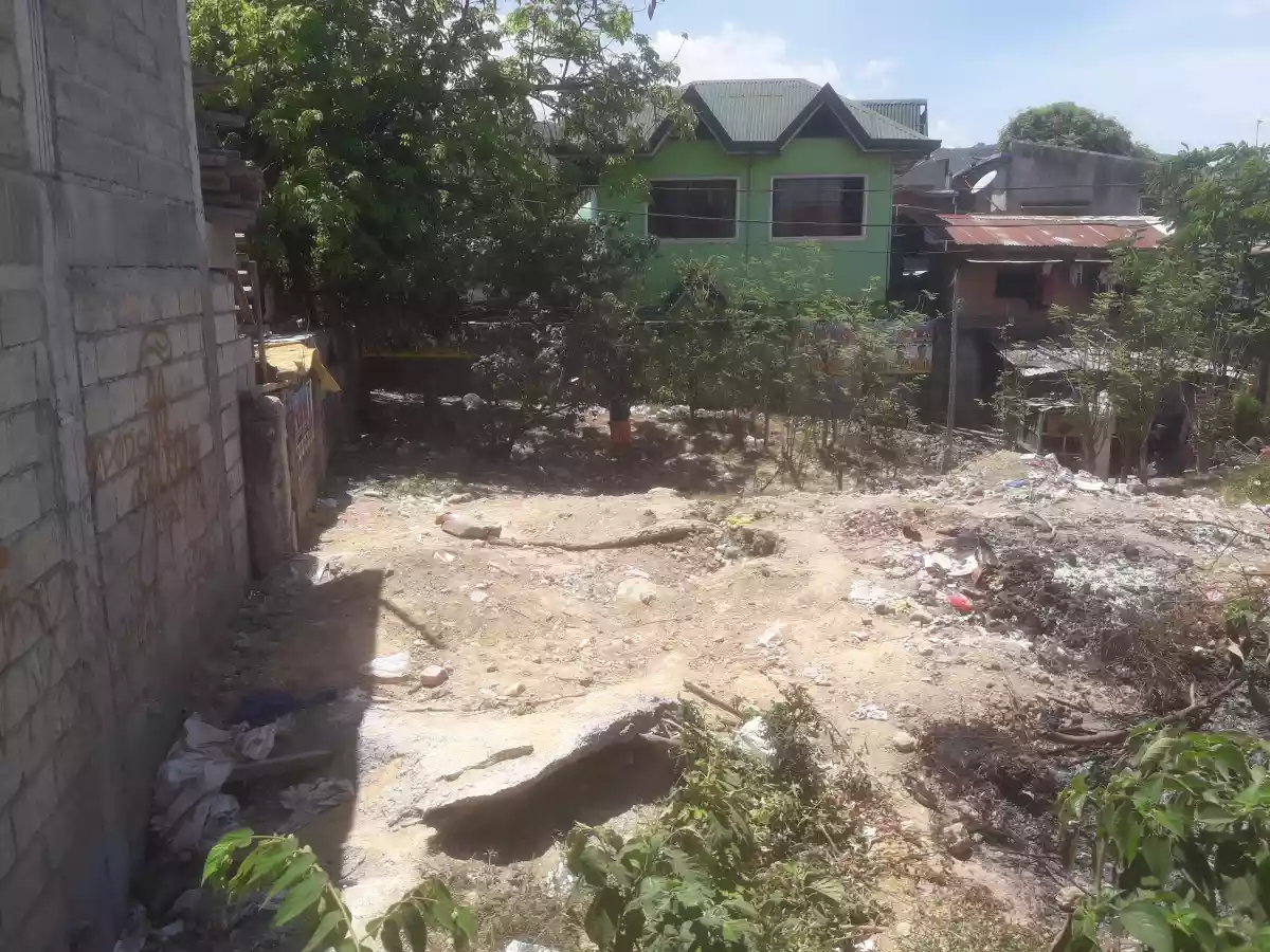 LOT — Residential Lot in Cebu, Philippines — Photo 6