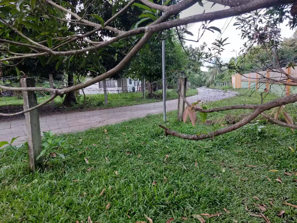 LOT FOR SALE