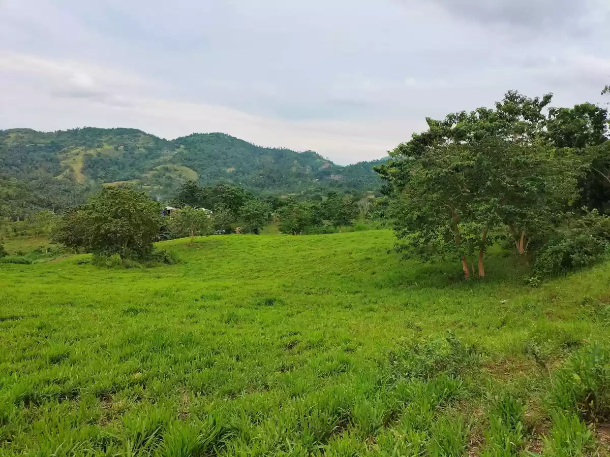 Affordable lot — Agricultural Lot in Carmen, Cebu, Philippines — Photo 7