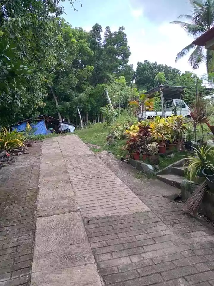 Bungalow House &Lot for Sale - photo 4