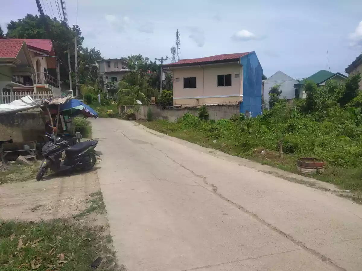 RESIDENTIAL LOT IN TUNGHAAN - photo 6