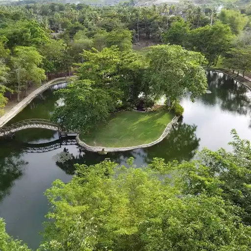 Income Generating Nature's Park in Magay, Compostela — Agricultural Lot in Compostela, Cebu, Philippines — Photo 3