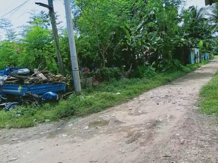 Rush Lot for Sale in Minglanilla Cebu — Residential Lot in Cebu, Philippines — Photo 4