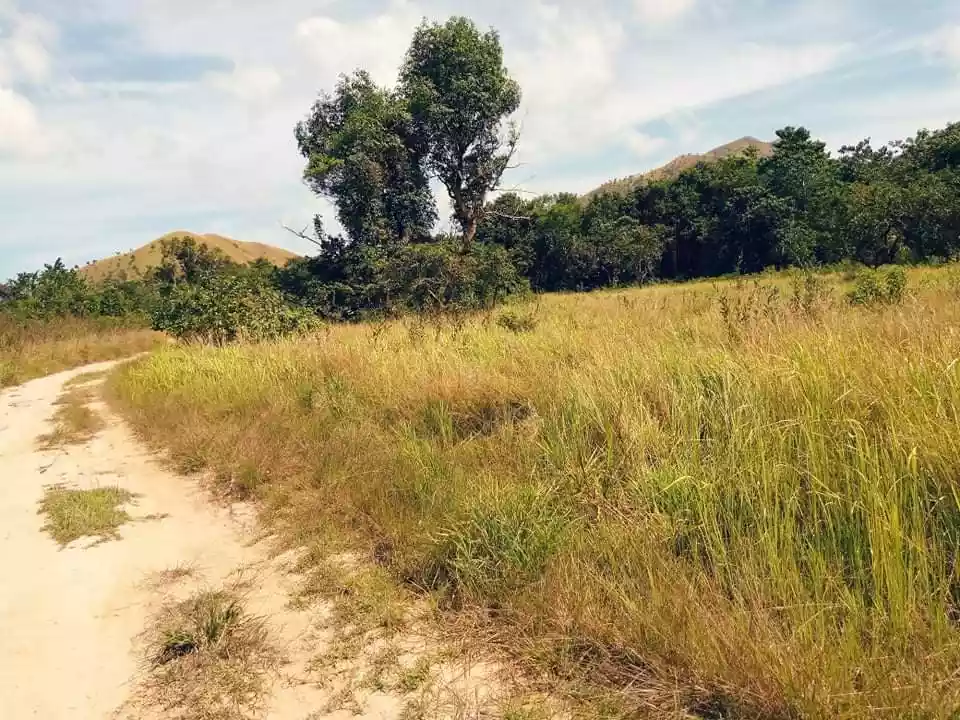 COMMERCIAL LOTS FOR SALE IN CORON, PALAWAN — Commercial Lot in Palawan, Philippines — Photo 6