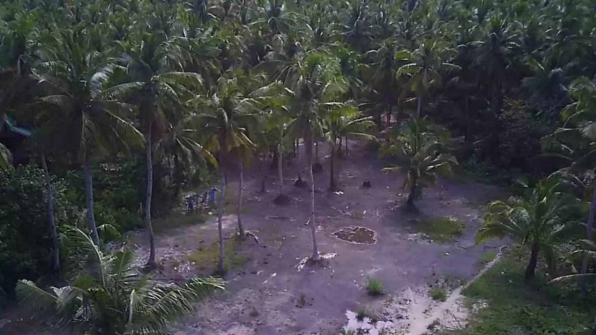 Beach Lot For Sale in Gen. Luna, Siargao Island — Beach Lot in Malinao Road, General Luna, Surigao del Norte — Photo 7
