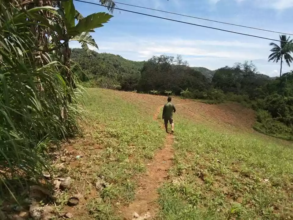 FOR SALE :  24, 728 SQM FARM LOT IN PINAMUNGAJAN - photo 7
