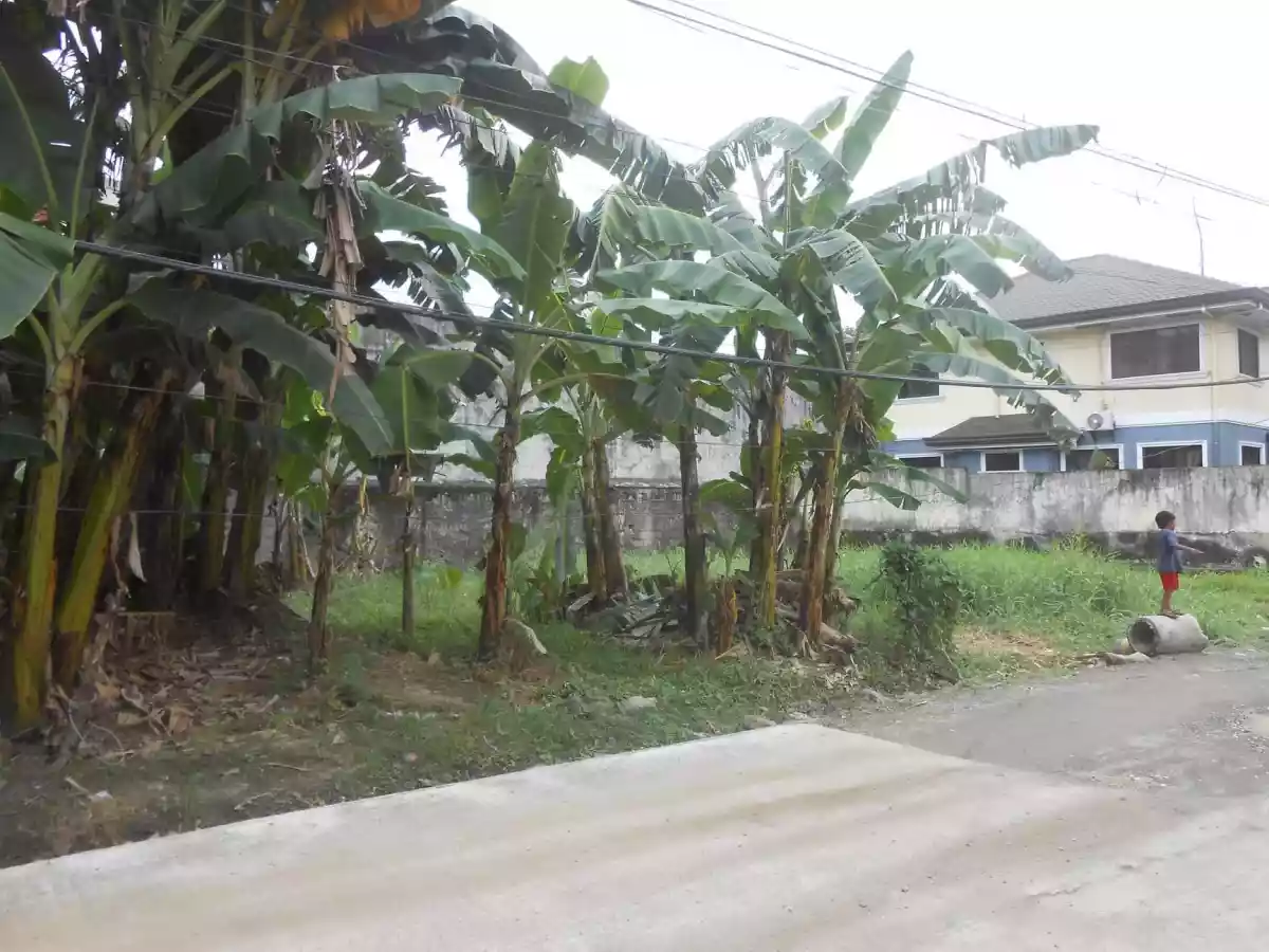 FOR SALE RESIDENTIAL LOT In MANDAUE CITY - photo 3