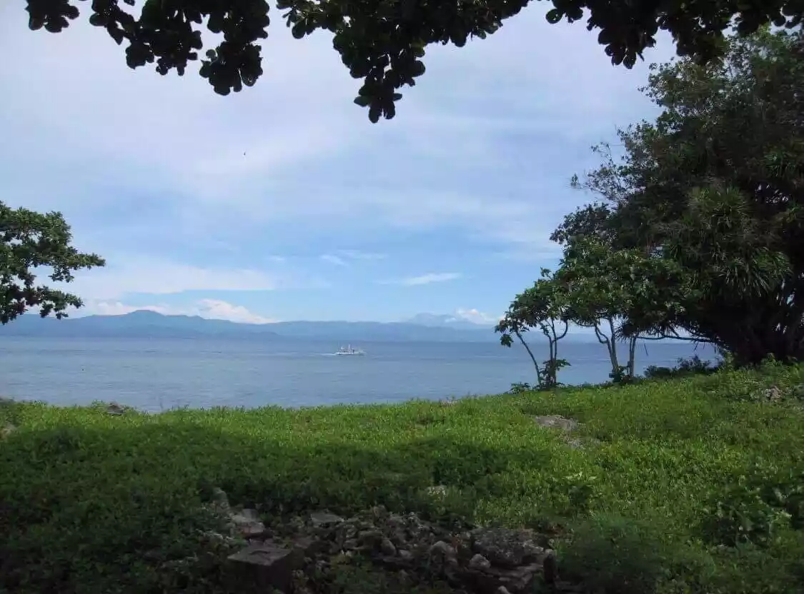 Moalboal Beach Lot for Sale - photo 3