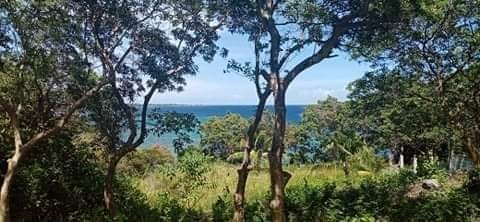 BEACH LOT FOR SALE - photo 2