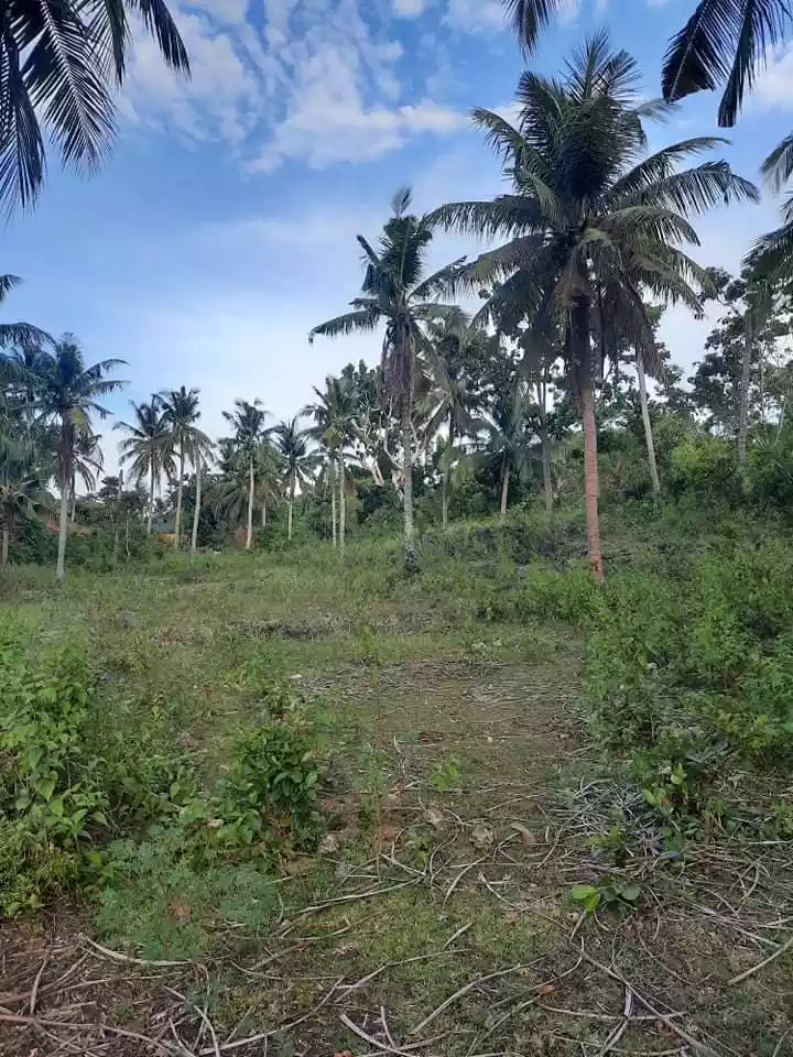 LOT for sale - photo 6