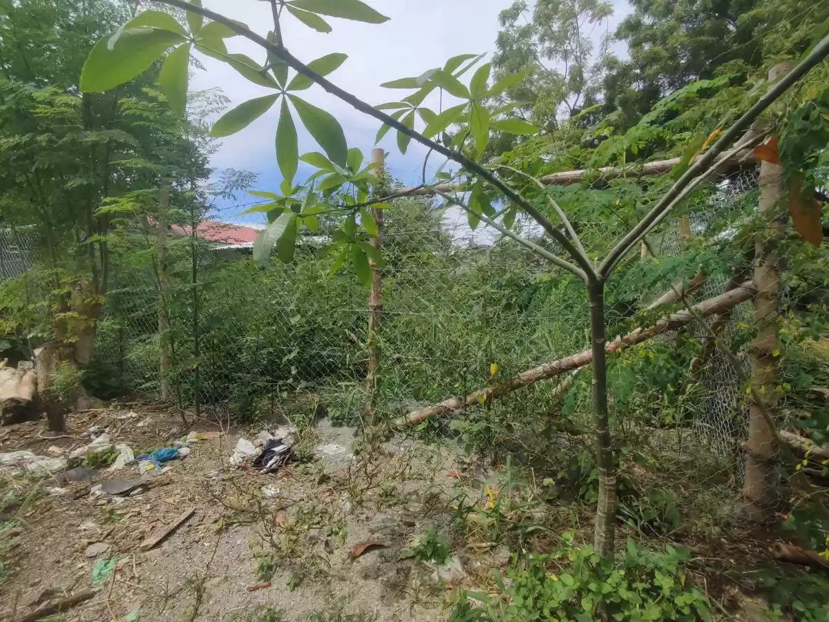 Residential Lot for sale — Residential Lot in General Santos City, South Cotabato, Philippines — Photo 5