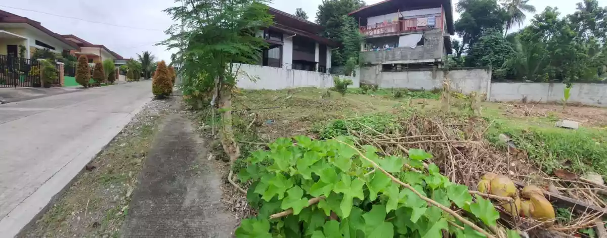 180sq.m LOT FOR SALE — Residential Lot in Buhangin, Davao City, Davao del Sur — Photo 3