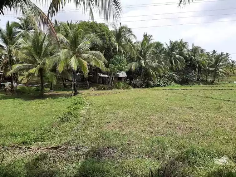 FARM LOT FOR SALE IN TAWINTAWIN, GENERAL LUNA, SIARGAO ISLANDS - photo 2