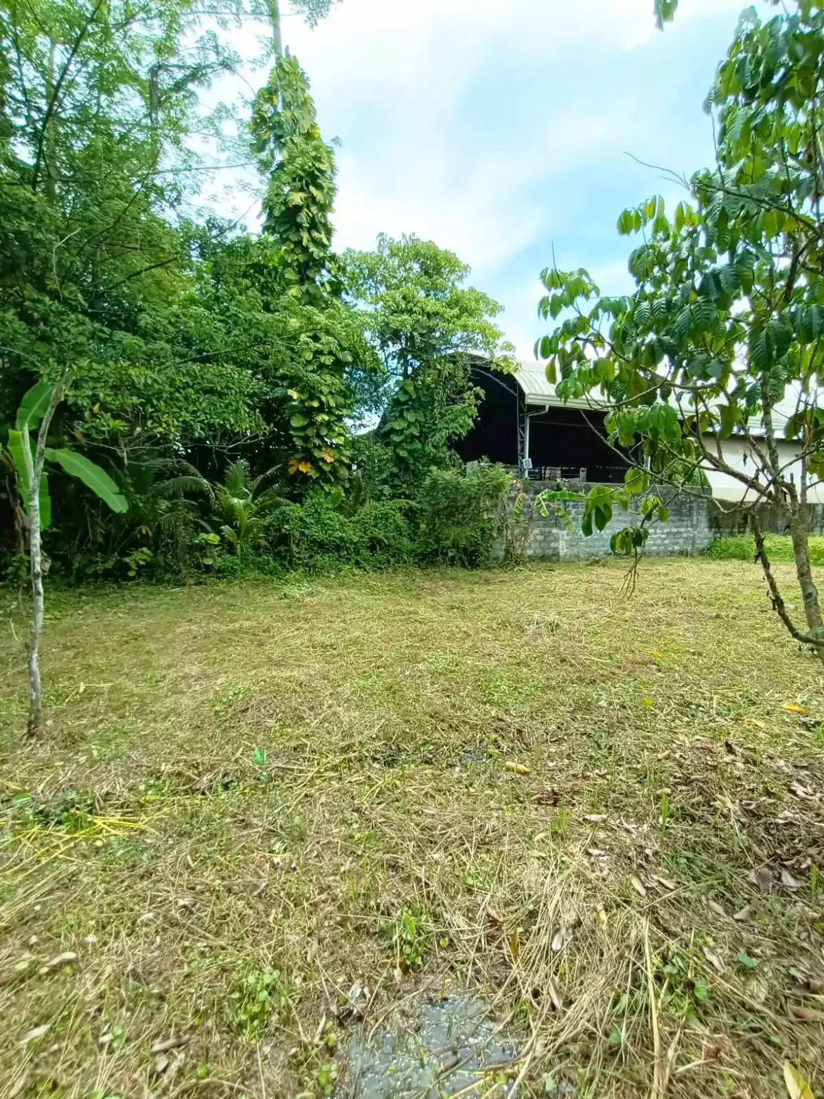 10398 sqm COMMERCIAL LOT IN MABINI ST, MAGUGPO SOUTH, TAGUM CITY - photo 4