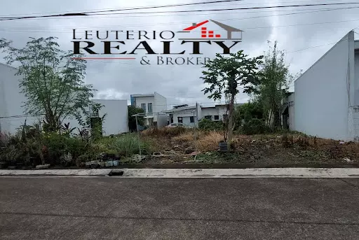 086-2018000299 & 086-2018000300 — Residential Lot in M4 Boulevard, Naga, Camarines Sur — Photo 2