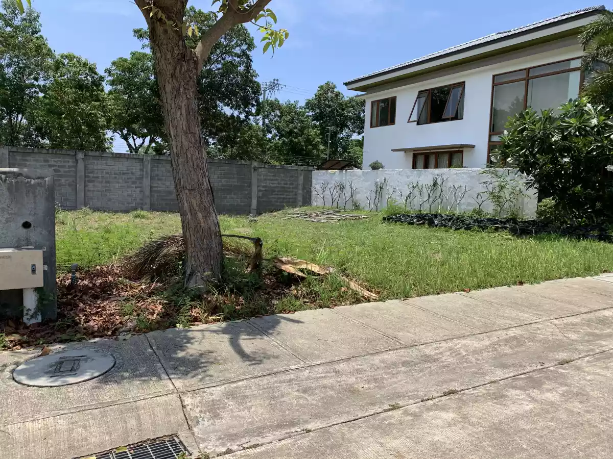 Amara lot  - photo 2