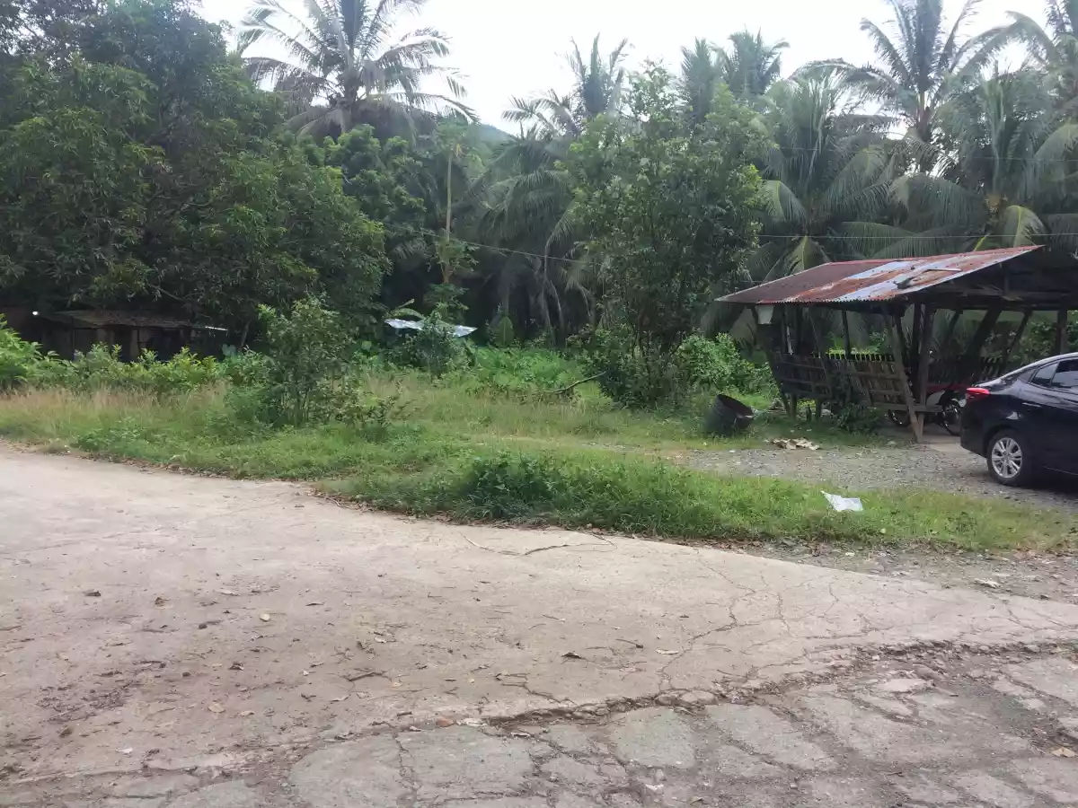 For Sale Titled Commercial Lot in Balamban Cebu — Commercial Lot in Cebu City, Cebu, Philippines — Photo 3