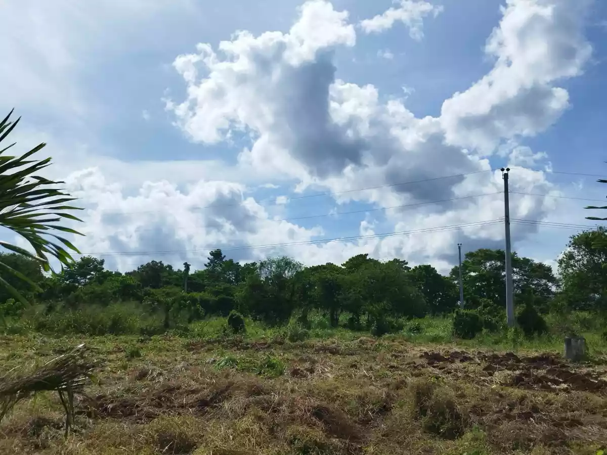 Villa Mercedes Residential Lot for Sale — Residential Lot in Davao City, Davao del Sur, Philippines — Photo 5