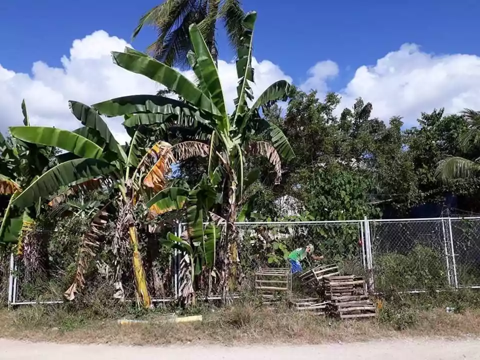 241 SQM Residential Lot for Sale in Magay, Compostela — Residential Lot in Cebu, Philippines — Photo 3