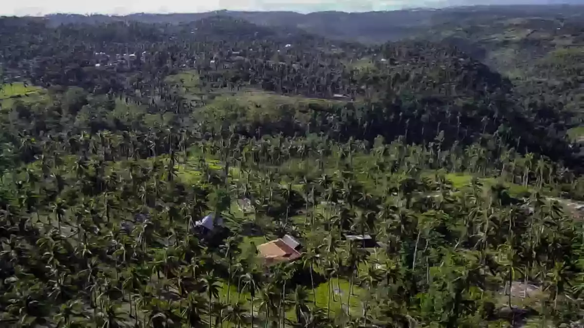 Overlooking Clean Title Lot for Sale in Bangcal,Jimalalud, Negros Oriental — Agricultural Lot in Jimalalud, Negros Oriental, Philippines — Photo 2