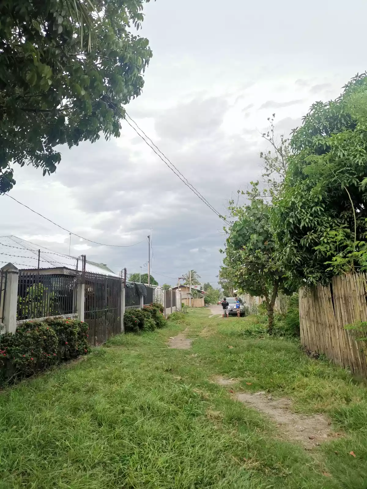 398 sqm corner Lot at Manansala Subdivision Mabuhay. 
