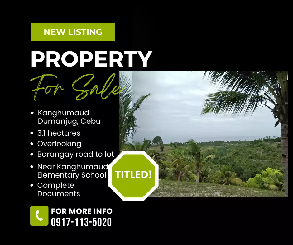 Lot For Sale in Dumanjug