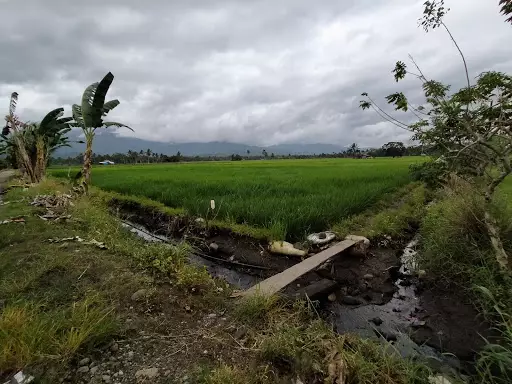 Irrigated Rice land for Sale — Agricultural Lot in Butuan City, Agusan Del Norte, Philippines — Photo 4