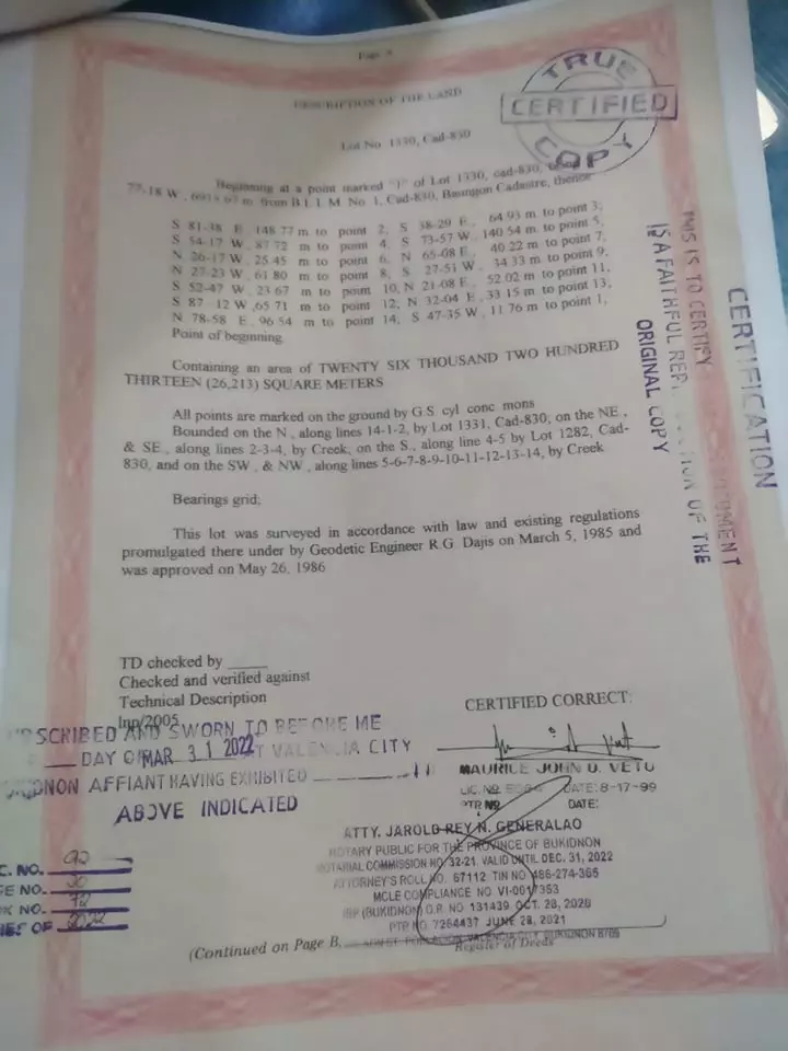 Open photo 17 of 19 — 10 hectares farm/agricultural land