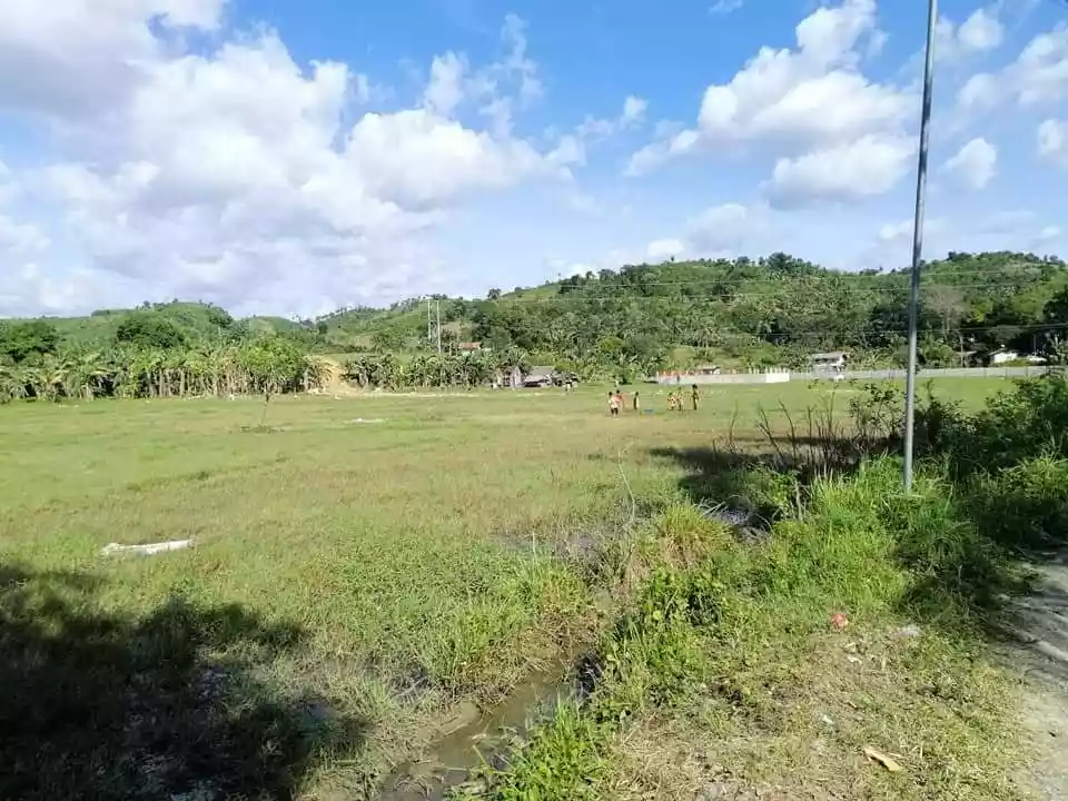 Rush Sale lot in Toledo City — Agricultural Lot in Toledo City, Cebu, Philippines — Photo 5
