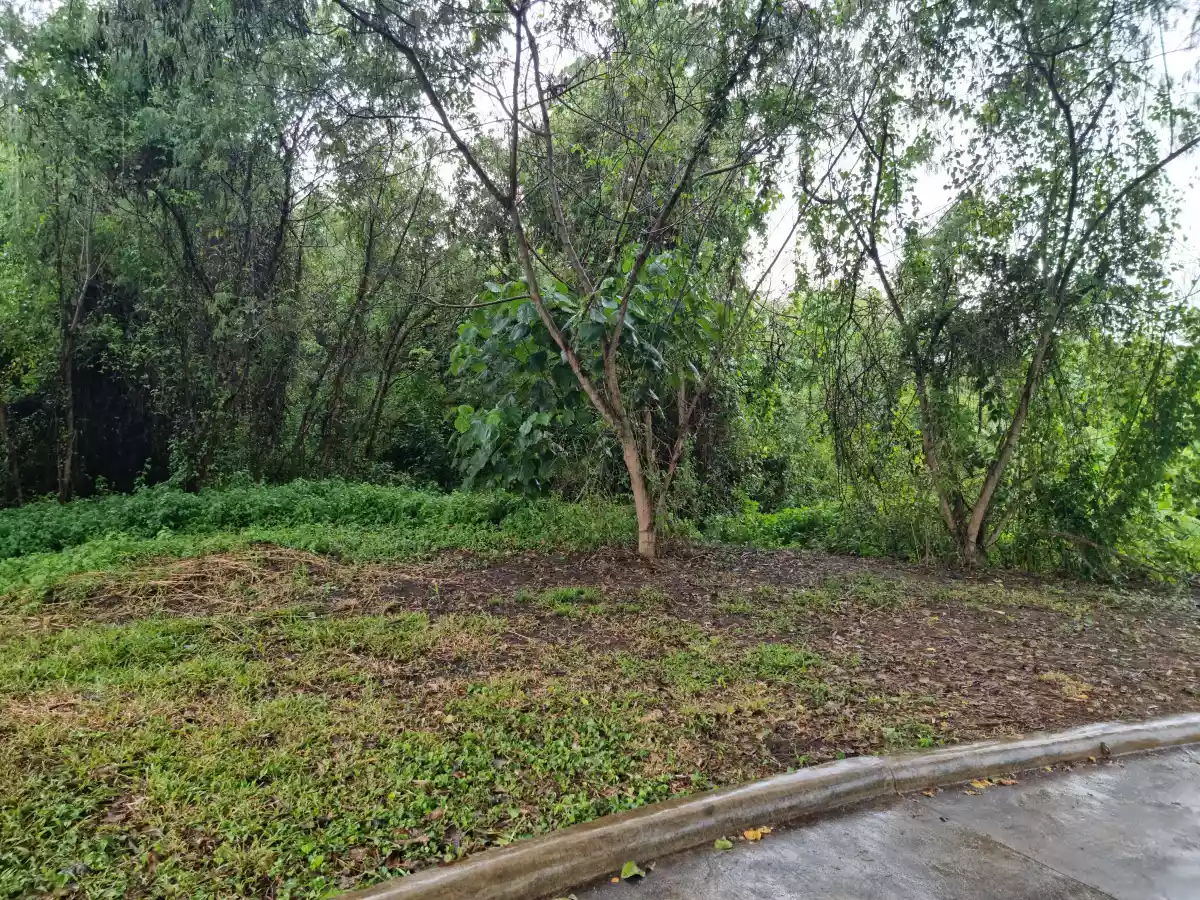 Pueblo Golf Estates Fairway Lot for Sale - photo 5